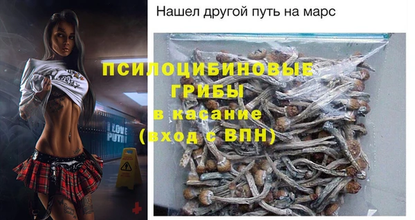 стаф Алексин